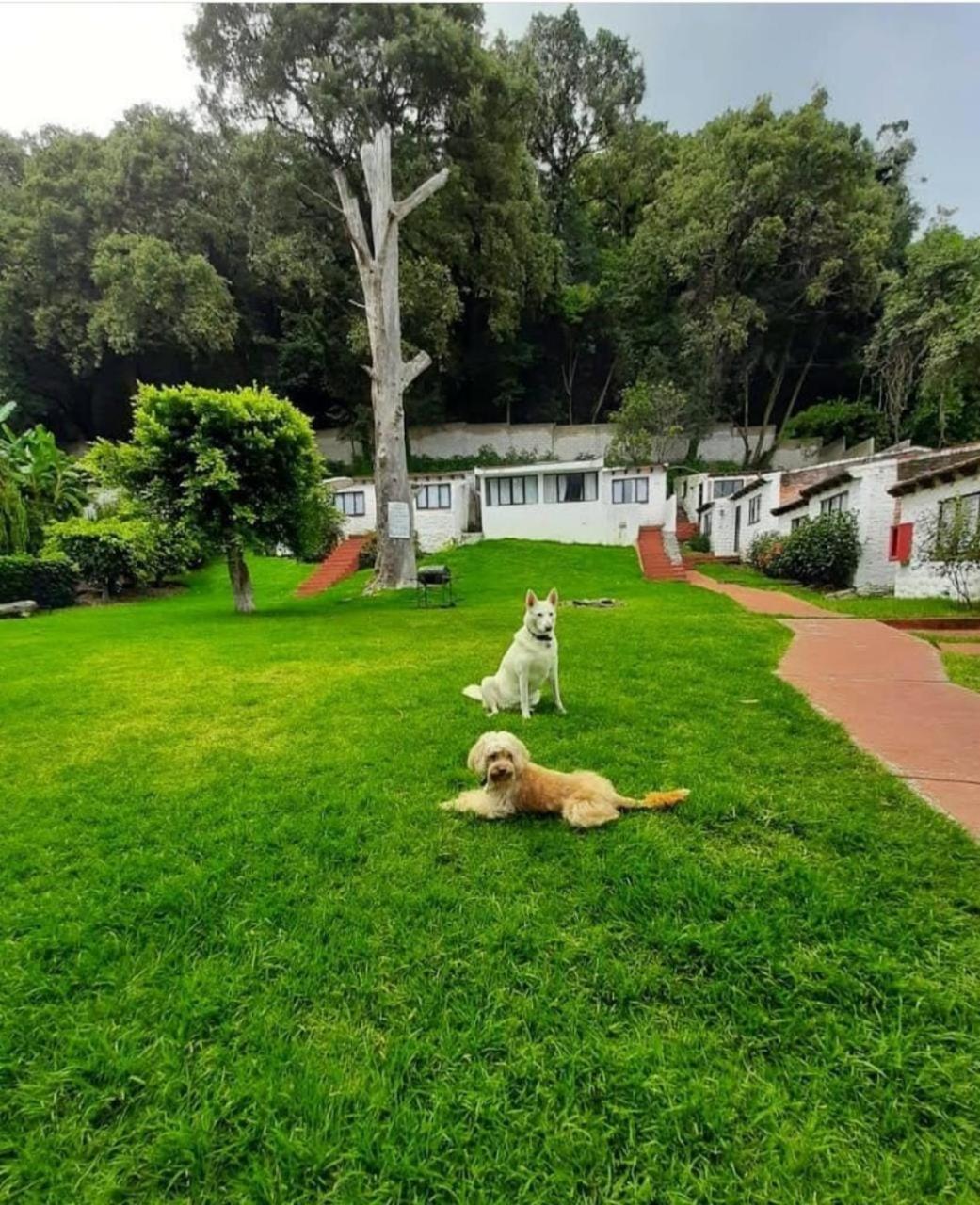 Hotel Club Santa Maria Cuernavaca Zewnętrze zdjęcie