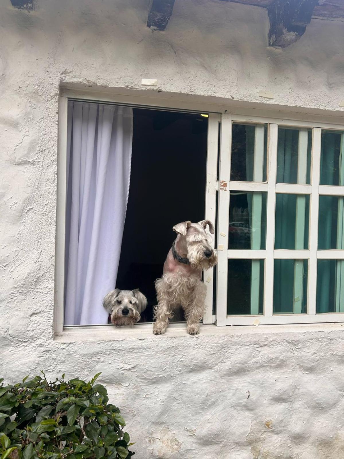 Hotel Club Santa Maria Cuernavaca Zewnętrze zdjęcie